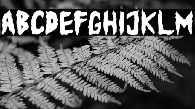 Ballowien Font examples