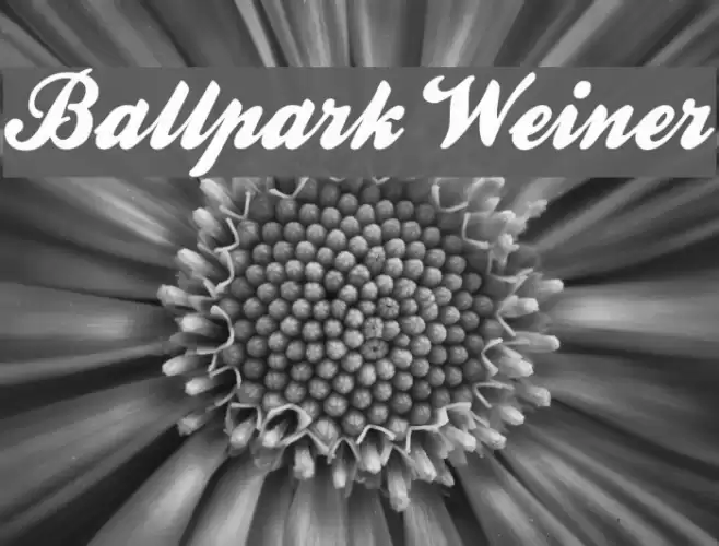 Ballpark Weiner Шрифта examples