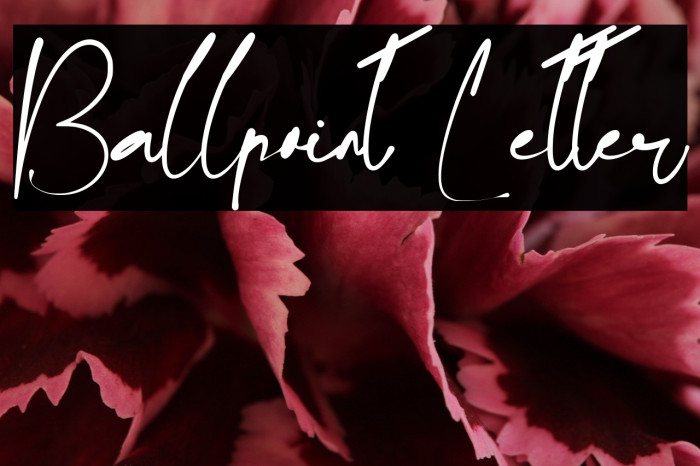 Ballpoint Letter Example 1
