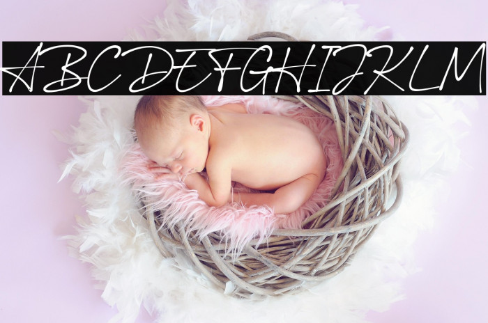 BallpointSignature Example 2