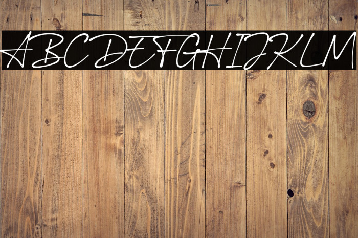 BallpointSignature Example 3