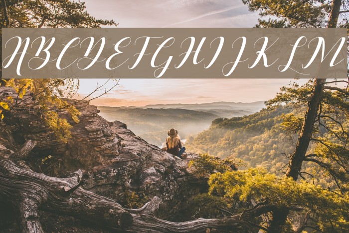 BallqisScript Font examples