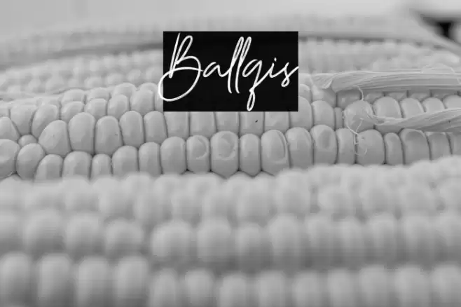 Ballqis Font examples