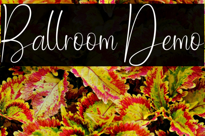 Ballroom Demo Example 1