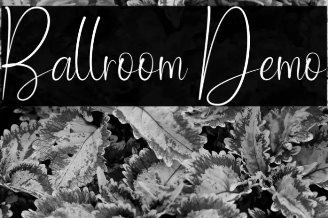 Ballroom Demo Example 1