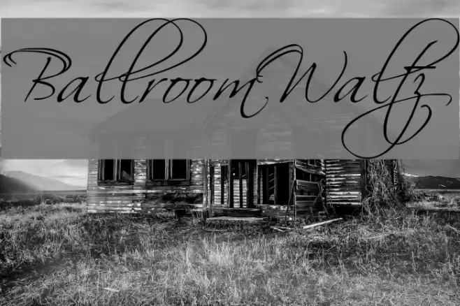 BallroomWaltz  examples