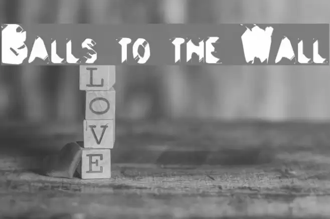 Balls to the Wall Polices examples