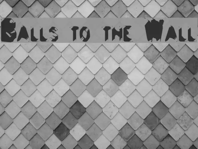 Balls to the Wall Polices examples