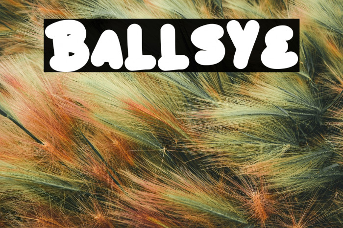 Ballsye Example 1