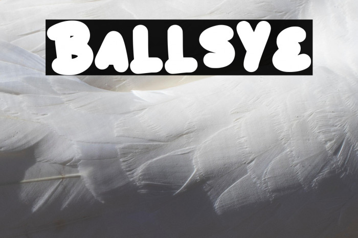 Ballsye Example 3