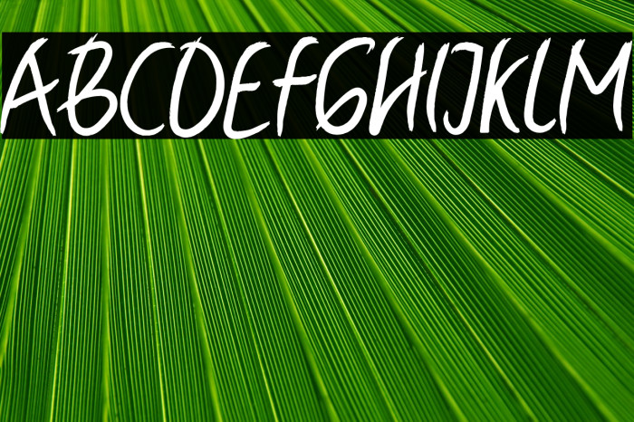 Ballyst Regular Example 3