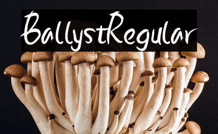 BallystRegular Example 3