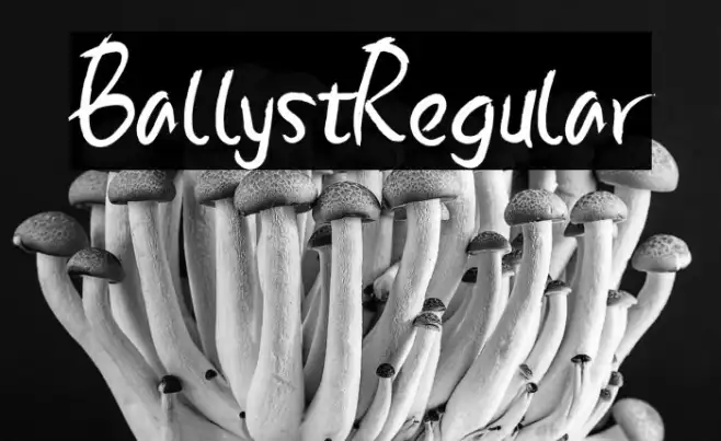 BallystRegular Example 3