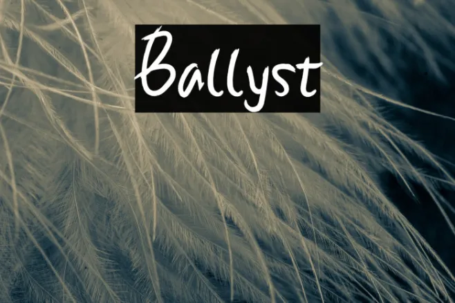 Ballyst Example 1