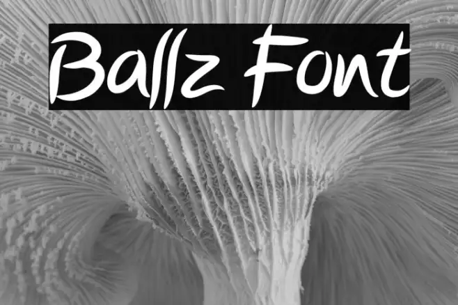 Ballz Example 2