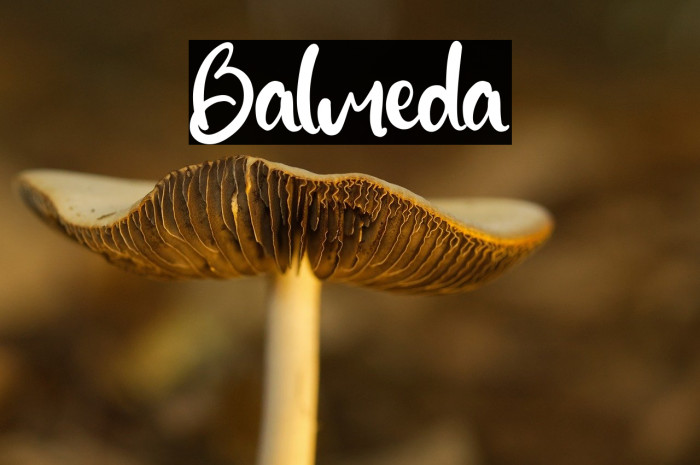 Balmeda Example 1