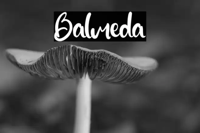 Balmeda Font examples