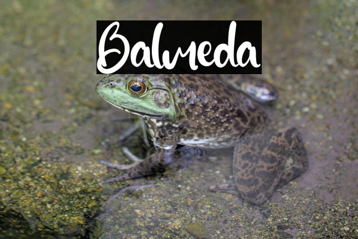 Balmeda Example 2