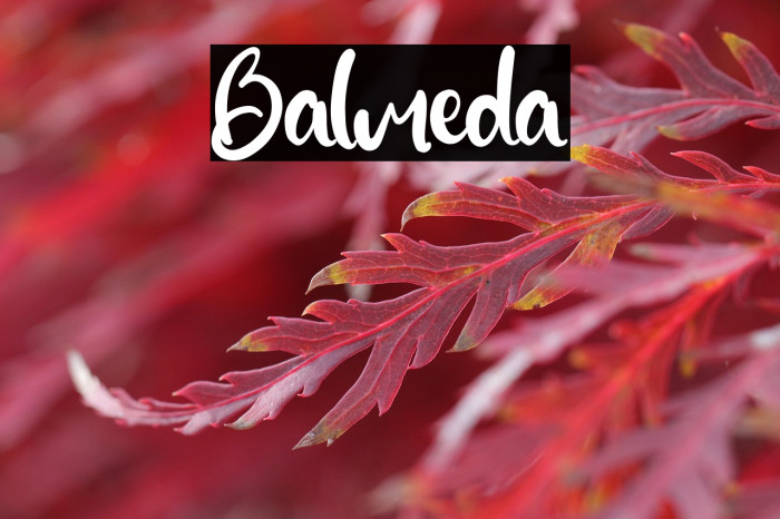 Balmeda Example 3