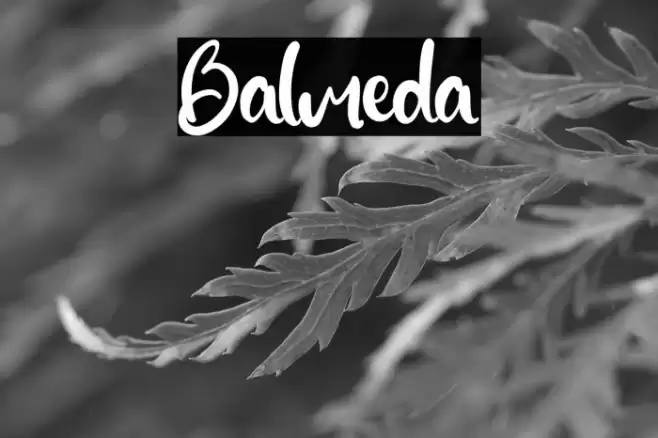 Balmeda Font examples