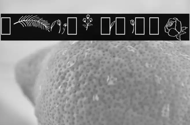 Balmond Element Font examples