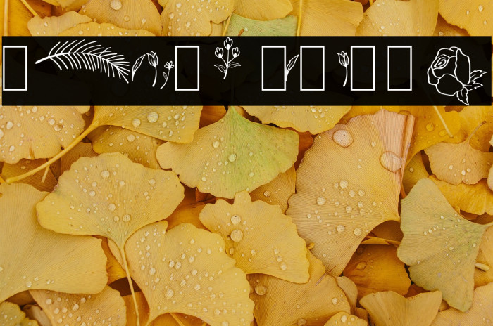 Balmond Element Example 3