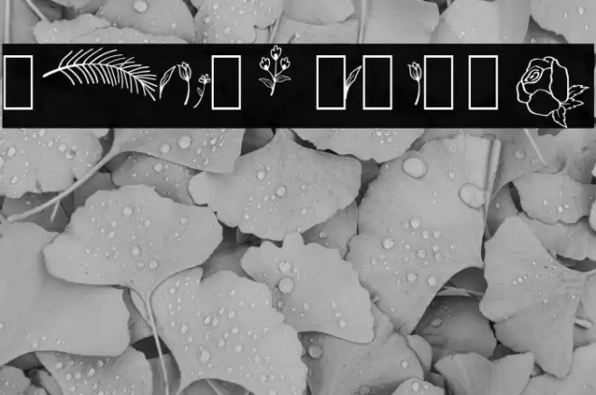 Balmond Element Font examples