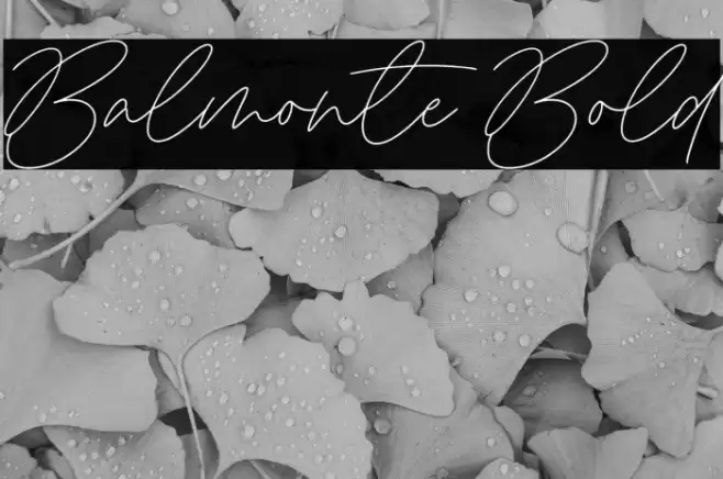 Balmonte Bold 字体 examples
