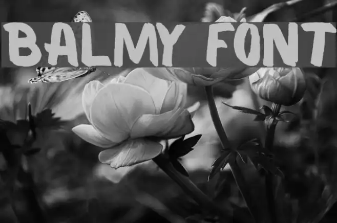 Balmy Example 2