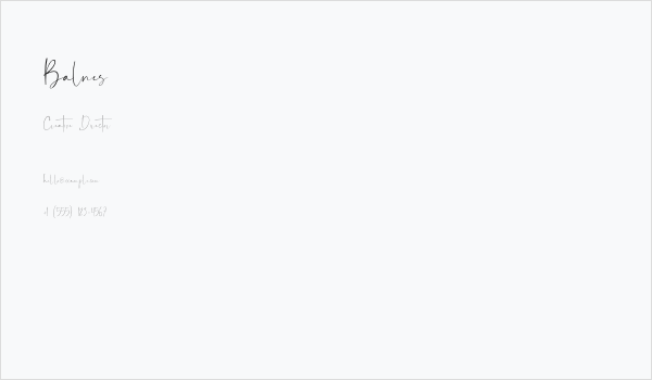 Balnes Business Card