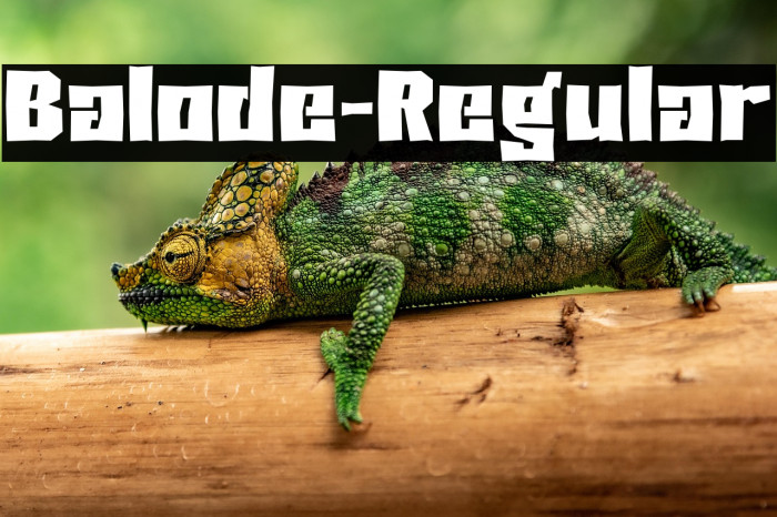 Balode-Regular Example 3