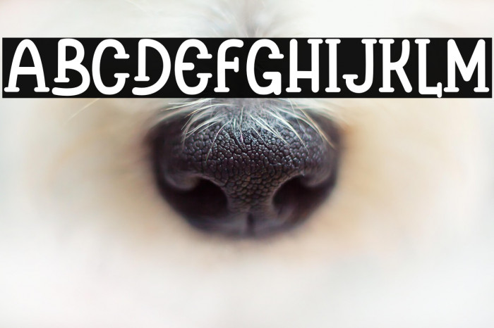 Balone Kids Example 2