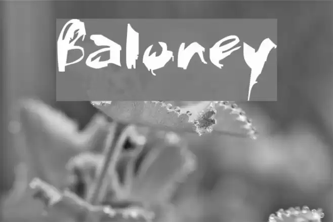 Baloney Caratteri examples
