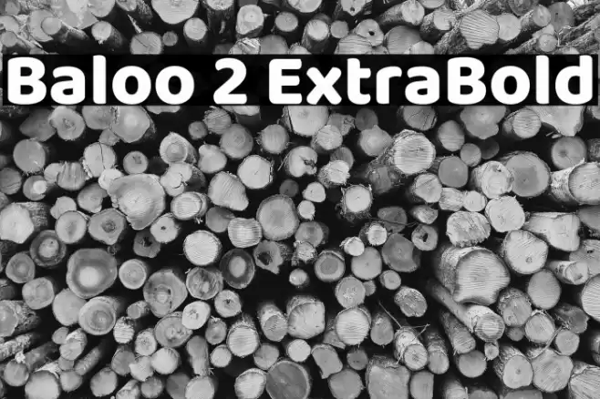Baloo 2 ExtraBold Font examples
