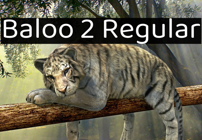 Baloo 2 Regular Font examples