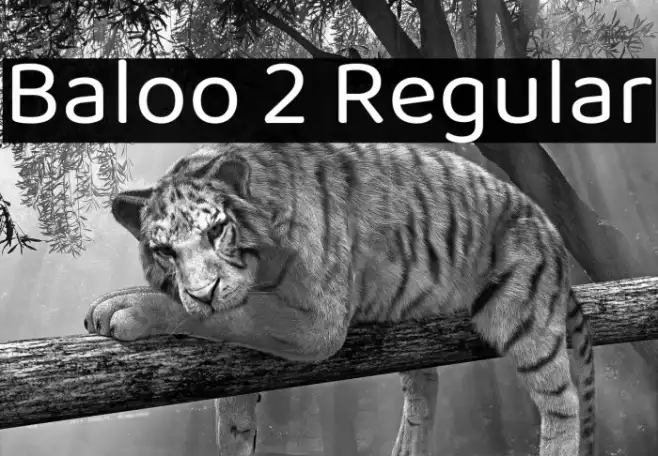 Baloo 2 Regular Example 1