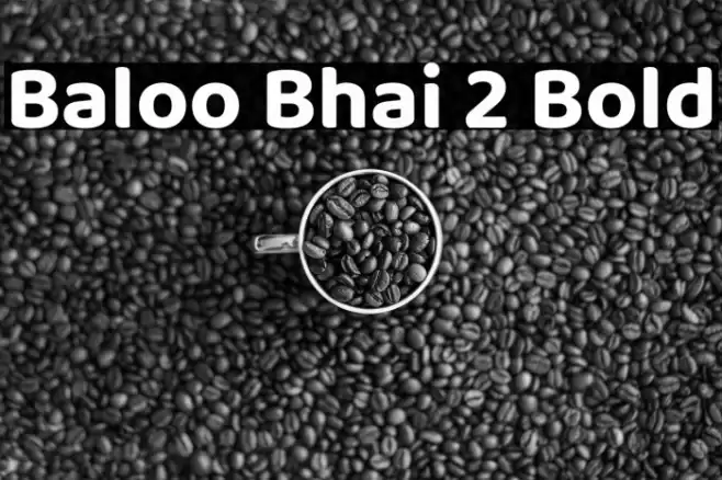 Baloo Bhai 2 Bold Font examples