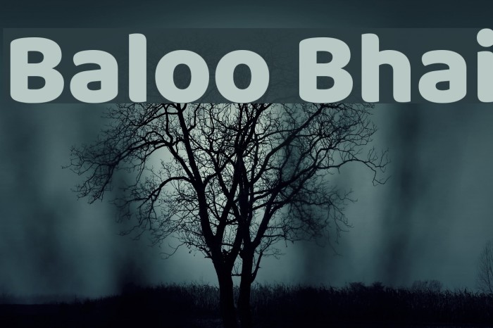 Baloo Bhai Font examples