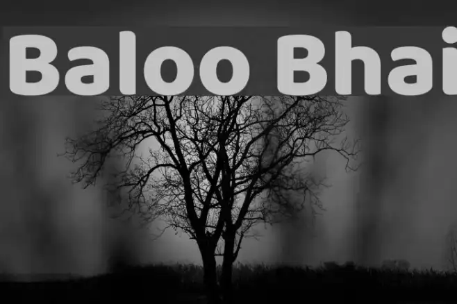 Baloo Bhai Example 1