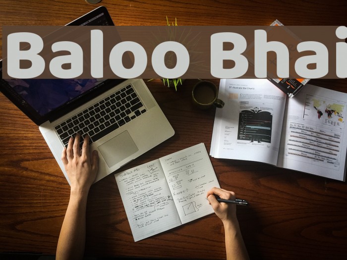Baloo Bhai Font examples