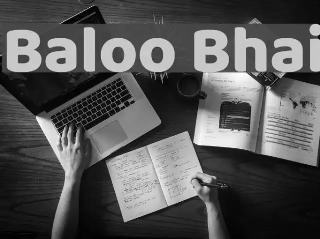 Baloo Bhai Example 3