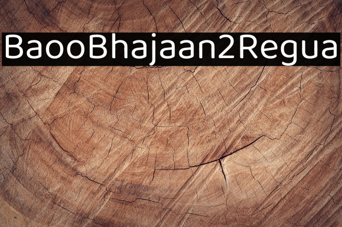 Baloo Bhaijaan 2 Regular Example 3