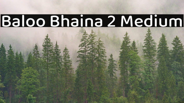 Baloo Bhaina 2 Medium Font examples