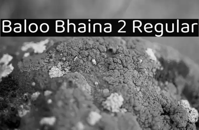 Baloo Bhaina 2 Regular Font examples