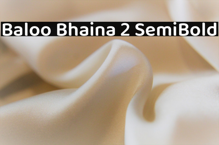 Baloo Bhaina 2 SemiBold Font examples