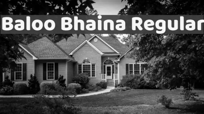 Baloo Bhaina Regular Font examples