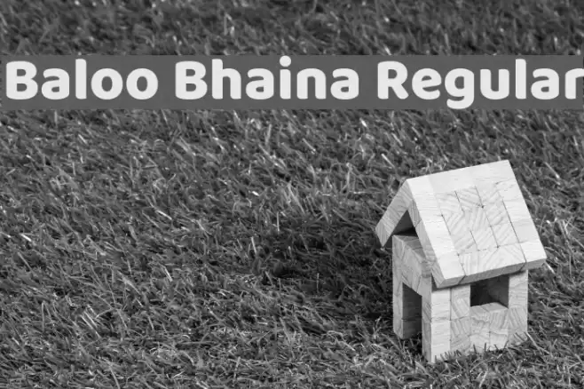 Baloo Bhaina Regular Font examples