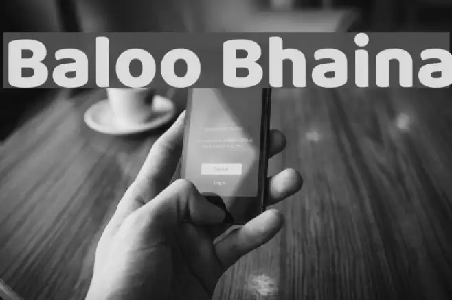 Baloo Bhaina Font examples