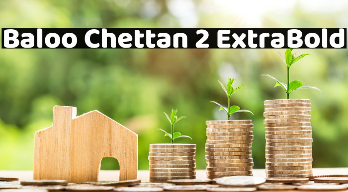 Baloo Chettan 2 ExtraBold Example 1