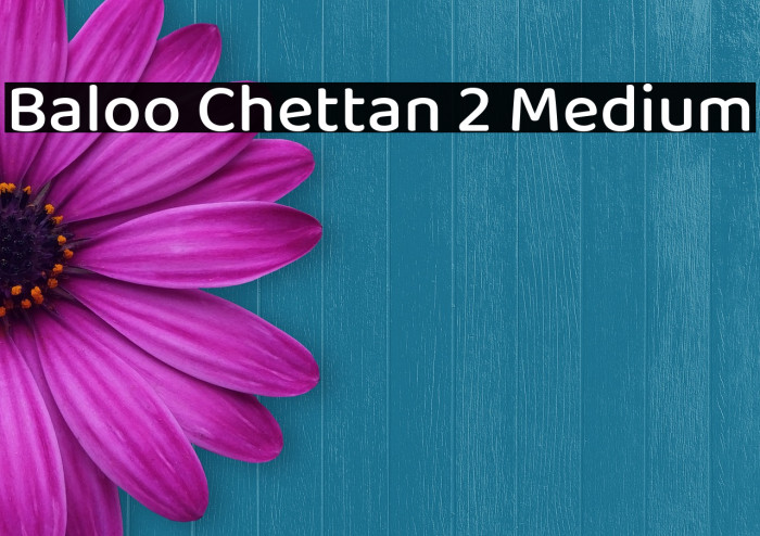 Baloo Chettan 2 Medium Example 1